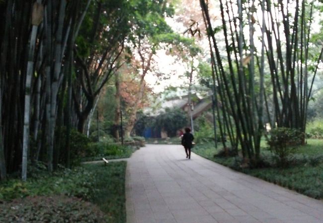 望江楼公園