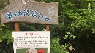 気軽な癒しスポット