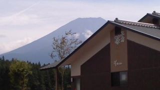 おいしそうなお茶がありました