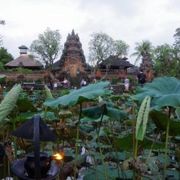 癒しの寺院