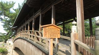 趣のある姿を楽しめます