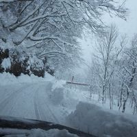 行くまでの道が最高