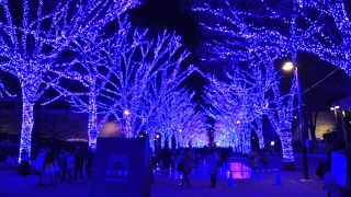 青の洞窟ＳＨＩＢＵＹＡ