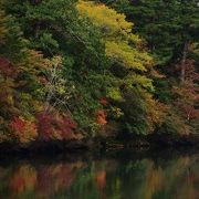 湯ノ湖でもひときわ紅葉が鮮やかな一角