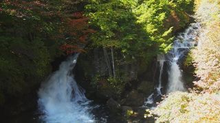 日光は場所により紅葉の見ごろがホントに違うんですね