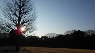 皇居の北側に広がる庭園です