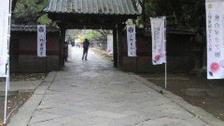 上野東照宮の水舎門は、社殿に至る参道の途中に設けられた門で、大鳥居の先にあります。