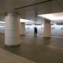 ちょっと広すぎ・・？