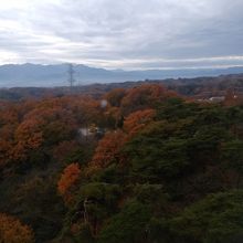 観音様の肩付近からの丸窓からの眺め