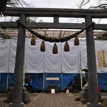 児玉神社社殿は工事中でした