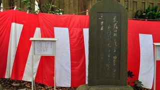 日本の政治家です