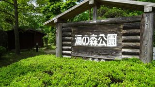 温泉街の散歩のときに寄りました