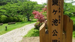 ホテルから歩いて行けるきれいな公園