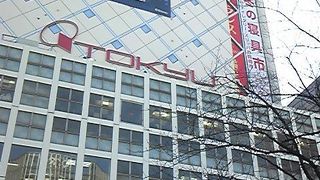 数年後が楽しみ