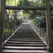 洞窟に至る階段