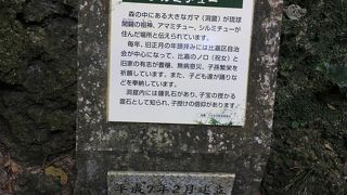 神聖さを感じるシルミチュー