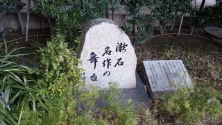 手入れが今ひとつ