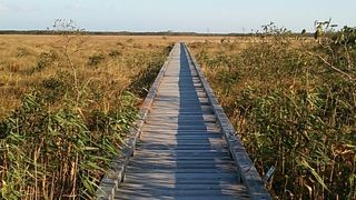 比較的平坦で歩きやすいです