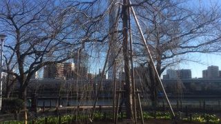 人それぞれに様々な楽しみ方のできる場所なのです。