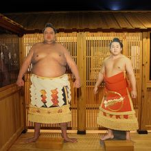 こんなに体格差があったのね・・・。