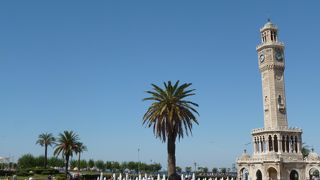 実物は意外と小ぶり