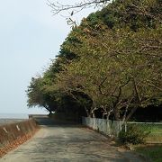 あじさいの他、有明海の景色も楽しめる公園