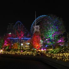 並木もきれいです．