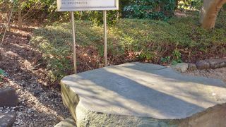 石の側面に刻まれた仏様や経文も面白い