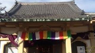 桜もちのお店のすぐ隣