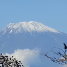 富士山
