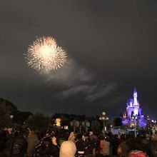 なかなかうまく撮れません。。。