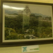 姫路城の写真が飾られているのも流石地元の百貨店ですね！