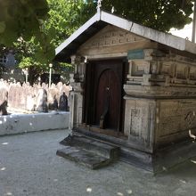 珊瑚でできているそうです