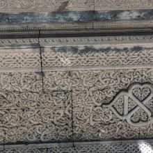 アップで撮ってみました