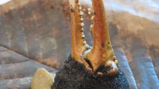 和の素材を活かしたイタリアン