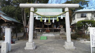 大学キャンパス裏手にひっそりと