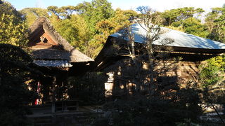 茅葺屋根に目を惹かれます