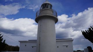 近くで見るとずんぐりした形