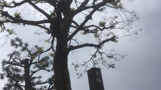 近世の旅人の思い、さまざまに想像されます。