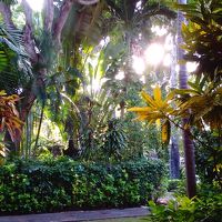 部屋のバルコニー前の景色