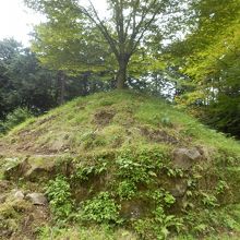 畑宿から見て左手の一里塚（ケヤキ）