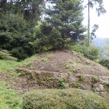 畑宿から見て右手の一里塚（モミの木）