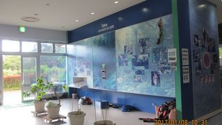 奄美大島の自然を学べる