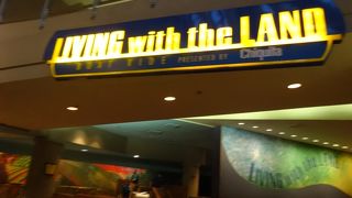 疲れた体にマッチ