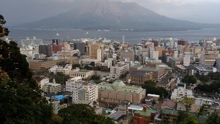 桜島と市街が臨める城山展望台