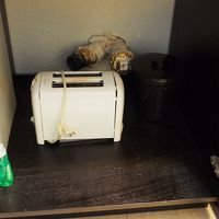 備え付けのトースターと食器洗剤、スポンジ、氷バケツ