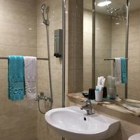 シャワーのみ。タオルがちょっとへたり気味。