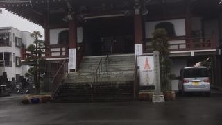 伊豆国分寺塔跡は必見です。