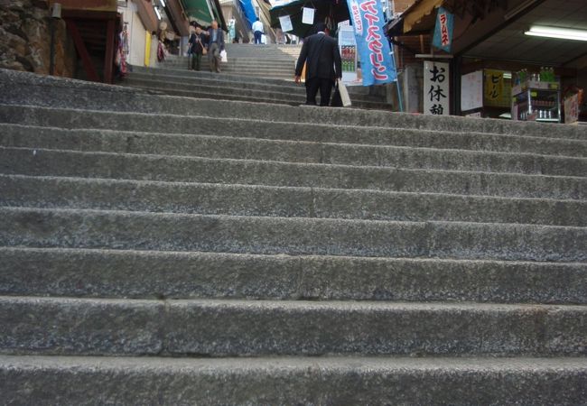 大麻山登山