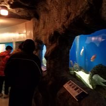 水族館もあり楽しめます。
